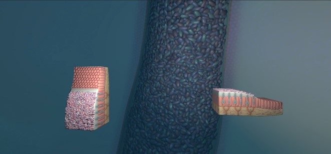 69.jpg 图片未刷新